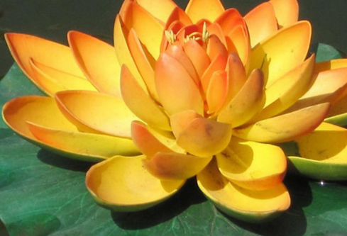 1691427910819069.png image.png