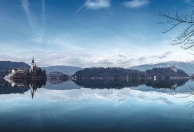 ​保护小动物的作文范文