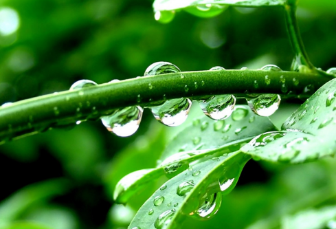 1691428573104086.png image.png