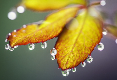 ​初中生家长最关心什么作文范文