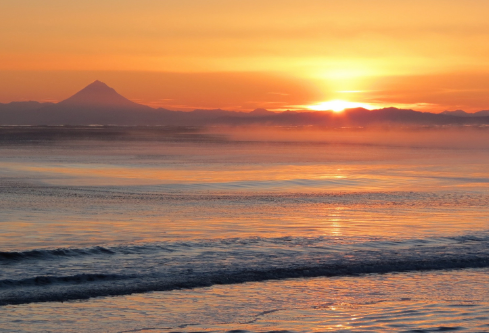 1691429402496624.png image.png