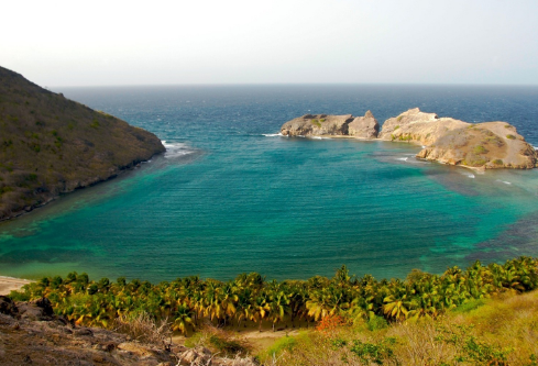 1691430066152565.png image.png