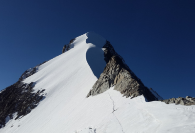 ​感受生活作文范文