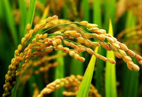 1691431227141984.png image.png