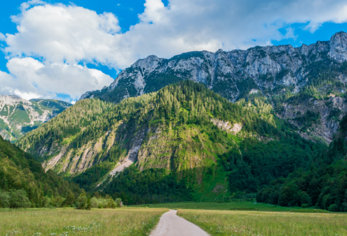 1691431559843492.png image.png