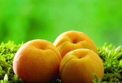 ​感受节日作文范文