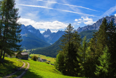 ​前行在什么中的作文范文