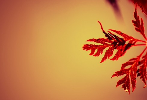 1691432720575675.png image.png