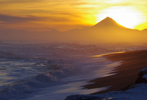 1691433051699845.png image.png