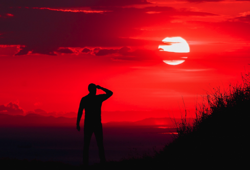 1691434046890505.png image.png