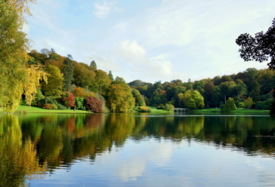 ​动物记叙文作文精选范文