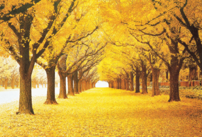 ​以遇见为话题的作文范文