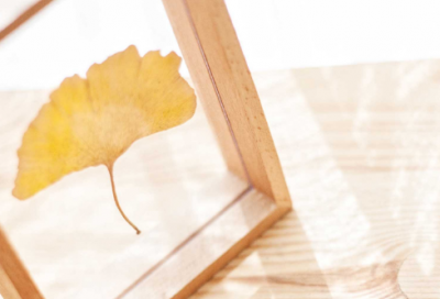 ​写植物的作文范文参考