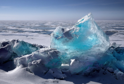 ​熟悉小动物作文范文