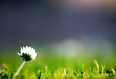 ​关于学生社会实践心得体会作文大全