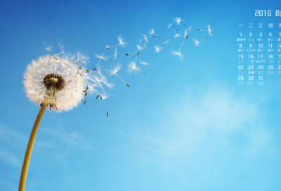 ​让红领巾更加鲜艳网上主题队日直播观后感心得推荐