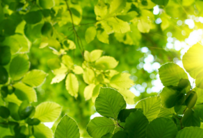 ​关于远方的初中作文范文