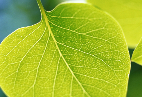 1691438689865123.png image.png