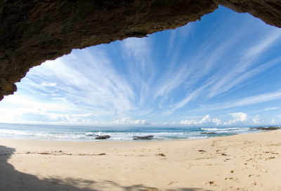 ​关于小动物的作文范文