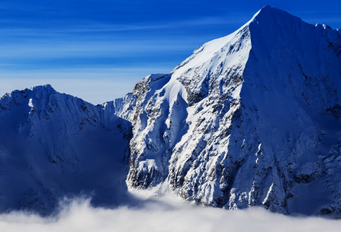 1691441677760365.png image.png