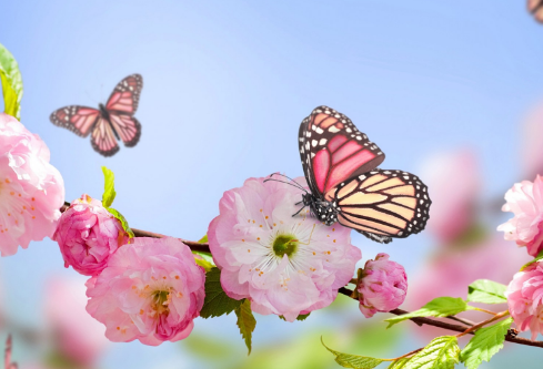 1691442174246274.png image.png