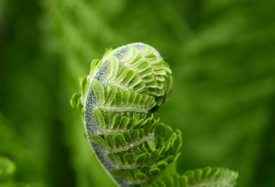 ​观《古田军号》心得体会推荐