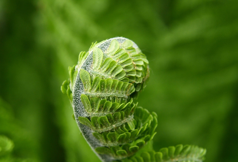 1691443335864298.png image.png