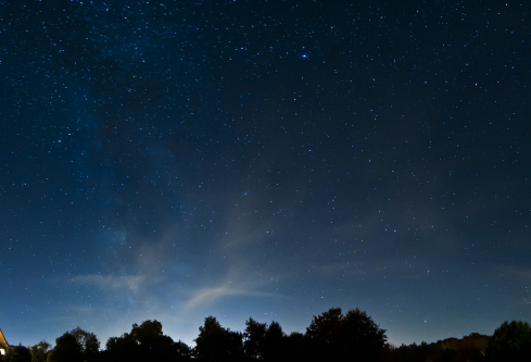 1691443500164999.png image.png