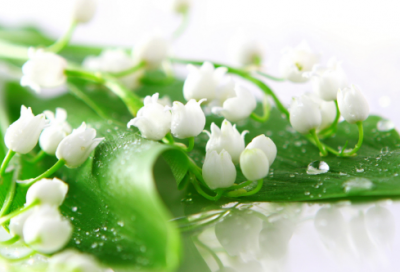 ​军训心得体会范文大全