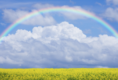 ​苦涩的思念作文范文三篇