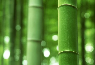 ​施里芬计划是如何破产的 成功有望吗