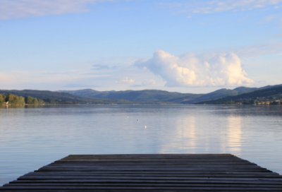 ​关于人和动物的作文范文