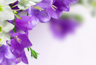 ​作文范文：敞开心扉