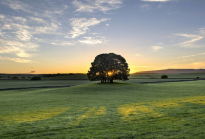 ​什么的眼泪作文范文