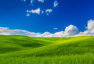 ​这个人真有趣作文范文