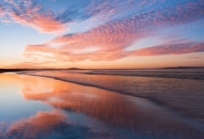 ​初中作文读后感范文