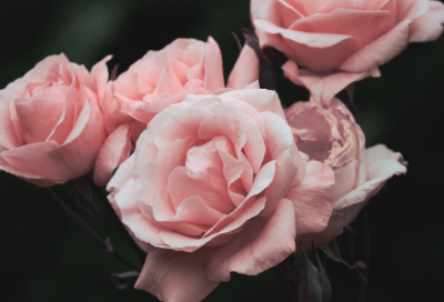 ​关于这一天的作文范文