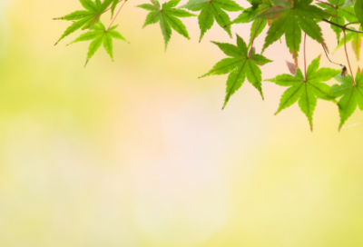 ​升入初中的感受作文范文