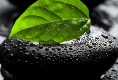 ​励志的作文范文