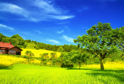 ​有关动物作文范文