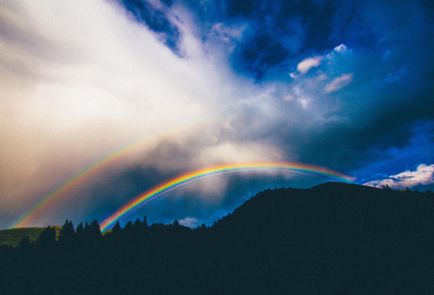 1691454118602285.png image.png