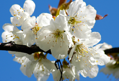 ​学会享受孤独作文范文