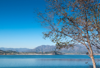 ​有关写诚实初中作文范文