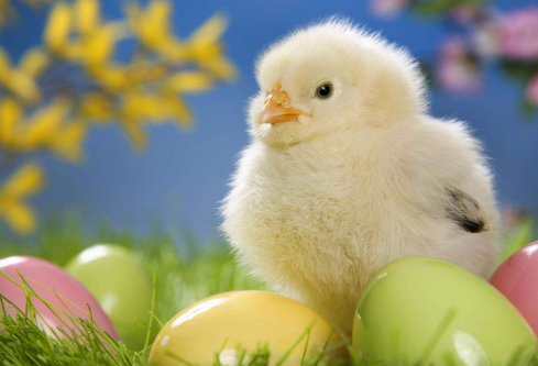 1691458431660202.png image.png