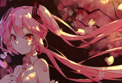 ​初中的优秀英语作文范文