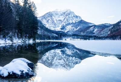 ​高中语文必修五第一单元作文范文精选