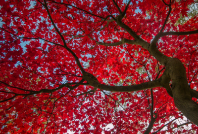 ​假期生活的作文范文