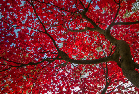 1691462081381663.png image.png