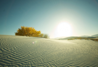 ​河北中考作文题目及范文