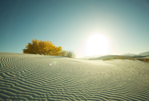 1691464737287713.png image.png